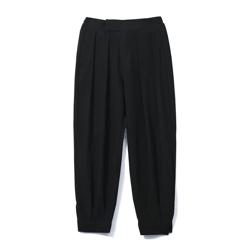 Smooth Pleated Trousers Pants